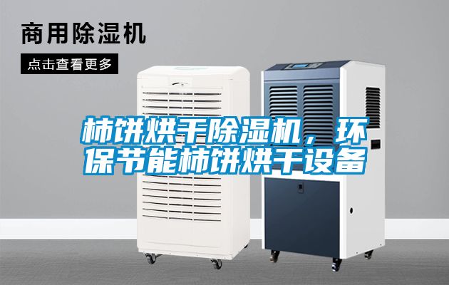 柿餅烘干除濕機，環(huán)保節(jié)能柿餅烘干設備