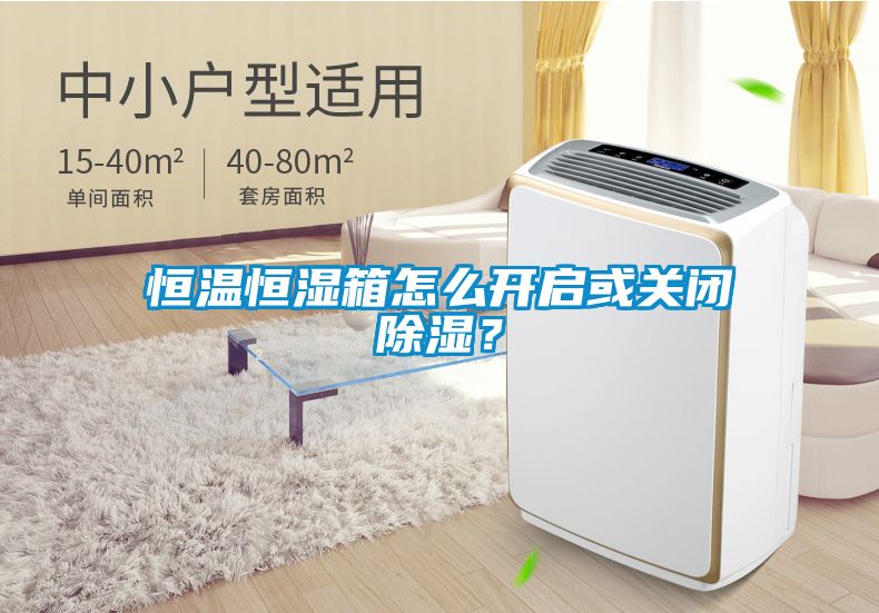 恒溫恒濕箱怎么開啟或關閉除濕？