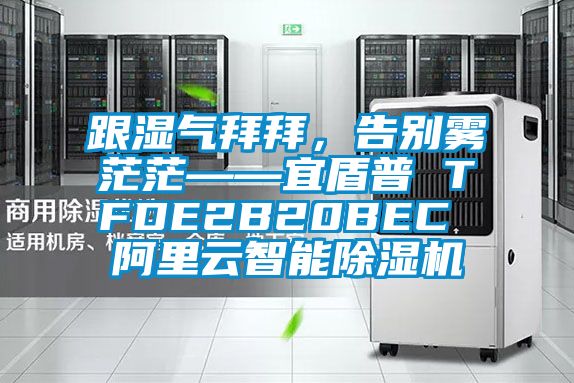 跟濕氣拜拜，告別霧茫茫——宜盾普 TFDE2B20BEC 阿里云智能除濕機