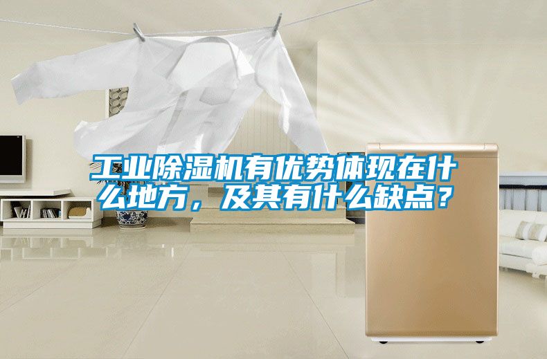 工業除濕機有優勢體現在什么地方，及其有什么缺點？
