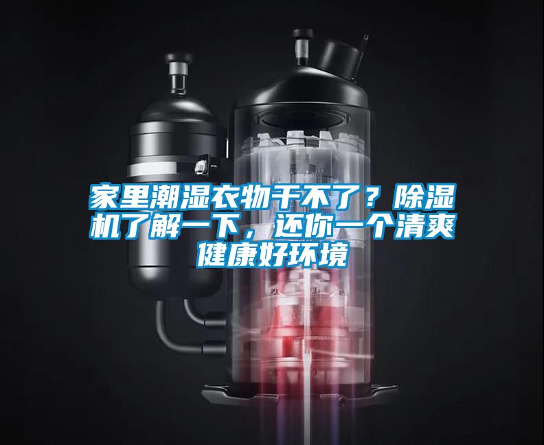 家里潮濕衣物干不了？除濕機了解一下，還你一個清爽健康好環境