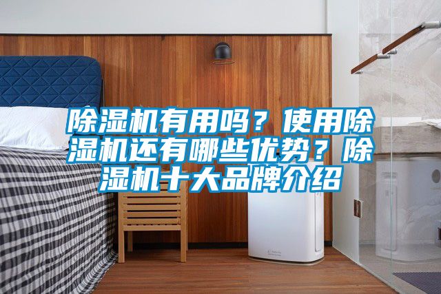 除濕機(jī)有用嗎？使用除濕機(jī)還有哪些優(yōu)勢？除濕機(jī)十大品牌介紹