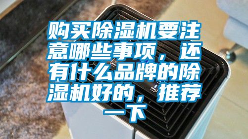 購買除濕機(jī)要注意哪些事項(xiàng)，還有什么品牌的除濕機(jī)好的，推薦一下