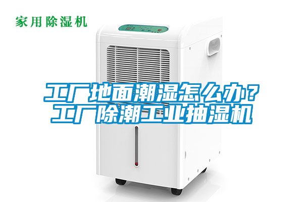 工廠地面潮濕怎么辦？工廠除潮工業(yè)抽濕機(jī)