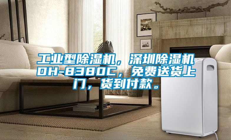 工業(yè)型除濕機(jī)，深圳除濕機(jī)DH-8380C，免費(fèi)送貨上門(mén)，貨到付款。