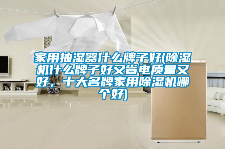 家用抽濕器什么牌子好(除濕機什么牌子好又省電質量又好，十大名牌家用除濕機哪個好)