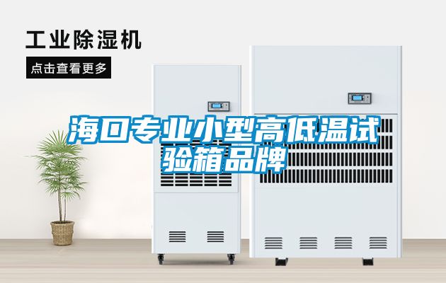 ?？趯I小型高低溫試驗箱品牌