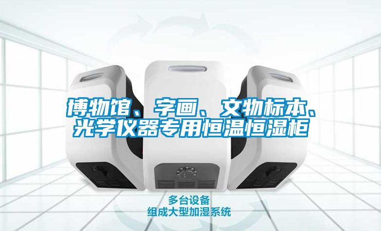 博物館、字畫、文物標(biāo)本、光學(xué)儀器專用恒溫恒濕柜