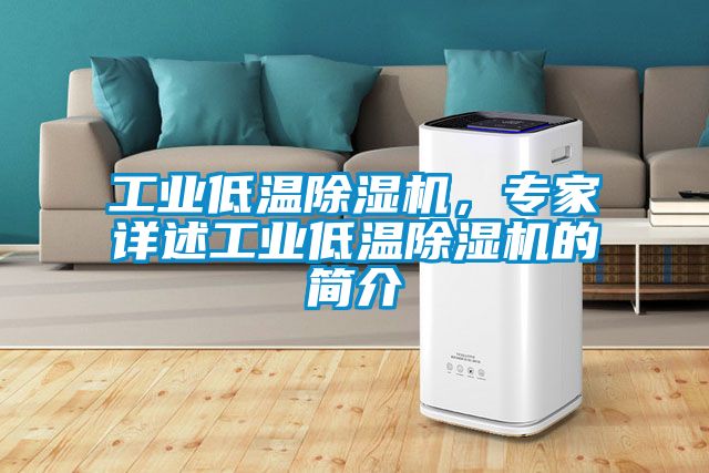 工業(yè)低溫除濕機，專家詳述工業(yè)低溫除濕機的簡介