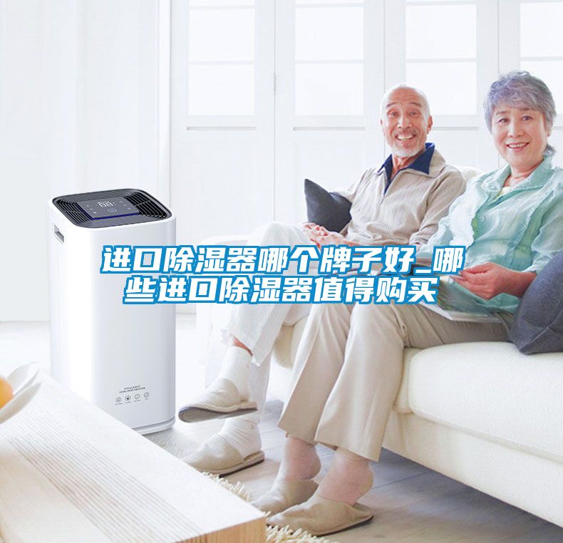 進(jìn)口除濕器哪個(gè)牌子好_哪些進(jìn)口除濕器值得購買