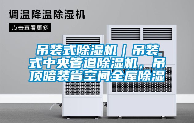 吊裝式除濕機｜吊裝式中央管道除濕機，吊頂暗裝省空間全屋除濕