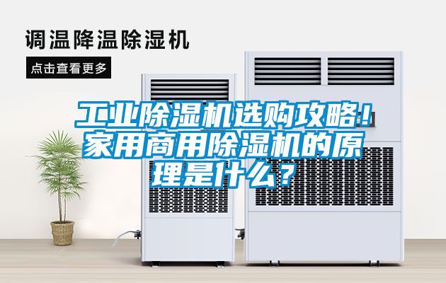 工業除濕機選購攻略！家用商用除濕機的原理是什么？