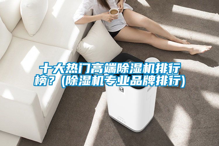 十大熱門(mén)高端除濕機(jī)排行榜？(除濕機(jī)專業(yè)品牌排行)