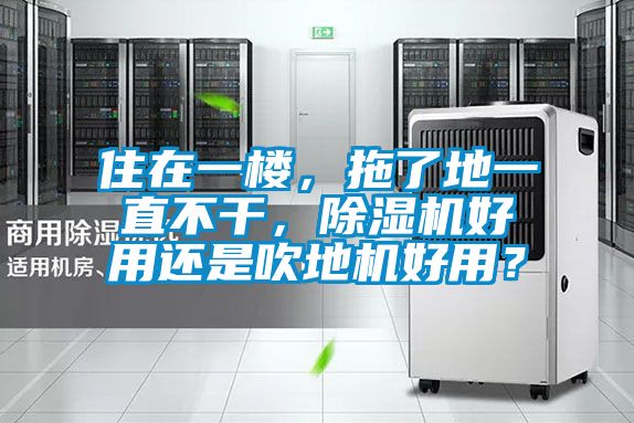 住在一樓，拖了地一直不干，除濕機好用還是吹地機好用？