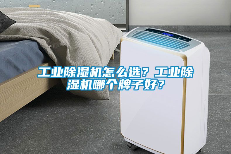 工業除濕機怎么選？工業除濕機哪個牌子好？