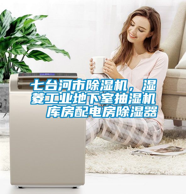 七臺河市除濕機，濕菱工業(yè)地下室抽濕機  庫房配電房除濕器