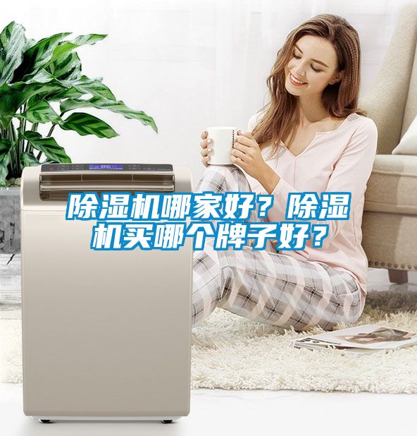 除濕機(jī)哪家好？除濕機(jī)買哪個(gè)牌子好？