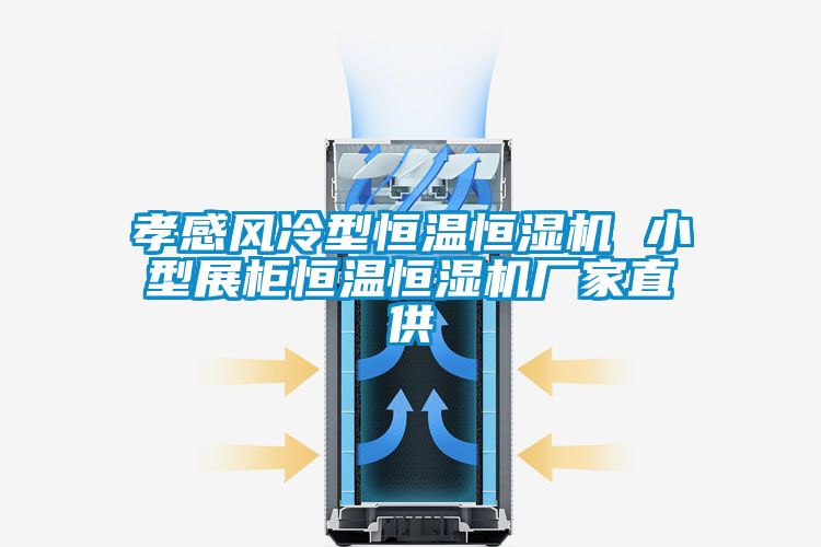 孝感風(fēng)冷型恒溫恒濕機(jī) 小型展柜恒溫恒濕機(jī)廠(chǎng)家直供