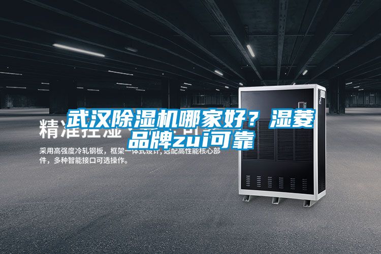 武漢除濕機(jī)哪家好？濕菱品牌zui可靠
