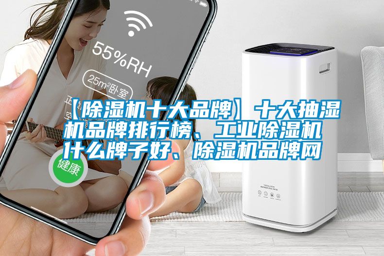 【除濕機十大品牌】十大抽濕機品牌排行榜、工業除濕機什么牌子好、除濕機品牌網