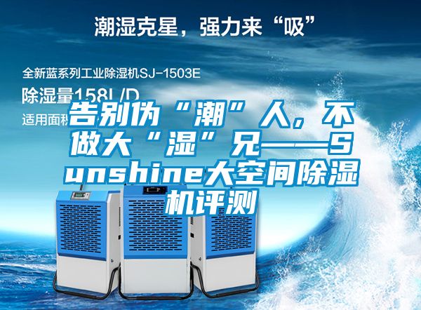 告別偽“潮”人，不做大“濕”兄——Sunshine大空間除濕機評測