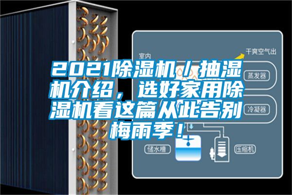 2021除濕機／抽濕機介紹，選好家用除濕機看這篇從此告別梅雨季！