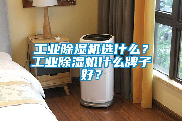 工業除濕機選什么？工業除濕機什么牌子好？