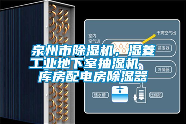 泉州市除濕機(jī)，濕菱工業(yè)地下室抽濕機(jī)  庫(kù)房配電房除濕器